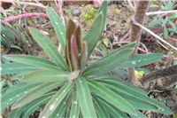 241bca2f-Picture 027.jpg